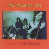 They Punctured My Yolk by The Flaming Lips