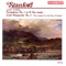 Symphony No. 1 in B-Flat Major: III. Andante Tranquillo artwork