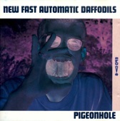 New Fast Automatic Daffodils - Big