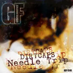 NeedleTrip (Afrojack Remix) Song Lyrics