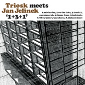 1+3+1 (Triosk Meets Jan Jelinek), 2003