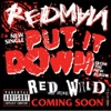 Put It Down - Single