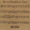 Noah Baerman Trio - Patch Kit