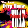 The Lost Deep House Trax - Volume 5