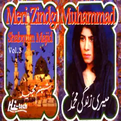 Meri Zindgi Muhammad, Vol. 3 - Islamic Naats by Shabnam Majid album reviews, ratings, credits