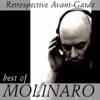 Retrospective Avant-Garde: Best of Molinaro, 2007