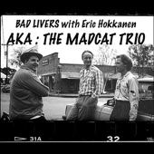 AKA the Mad Cat Trio (feat. Erik Hokkanen) artwork