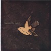 Jack in the Pulpit - Heroes