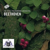 Symphony No. 2 In D Major, Op. 36: IV. Allegro molto artwork