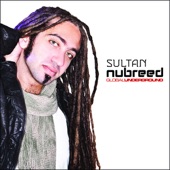 Sultan - Roads Under Ramallah (Namito Wants His Vote Back Mix)