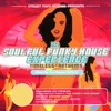 The Soulful Funky House Experience, 2006