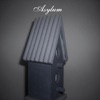 Asylum