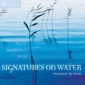 Signatures On Water artwork