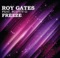 Freeze (Steff Da Campo Remix) [feat. Scotty G] - Roy Gates lyrics