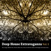 Deep House Extravaganza, Vol. 5