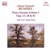 Piano Sonata in F-Sharp Minor, Op. 81: II. Largo con molto Espressione artwork