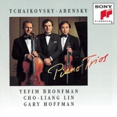 Yefim Bronfman - Piano Trio No. 1 in D minor, Op. 32: Allegro moderato