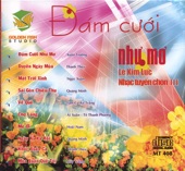 Dam Cuoi Nhu Mo artwork