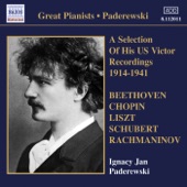 Paderewski: Victor Recordings (1914-1941) artwork