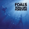 Total Life Forever, 2010