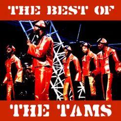 The Best of the Tams (Re-Recorded Versions) - The Tams