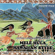 Holoholo Kaa - John K. Almeida