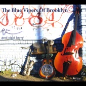 The Blue Vipers of Brooklyn - Ragg Mopp