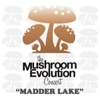 Mushroom Evolution Concert