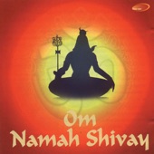 Om Namah Shivay artwork