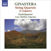 String Quartet No. 1, Op. 20: I. Allegro Violento Ed Agitato artwork
