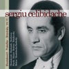 Berliner Philharmoniker & Claudio Abbado - Symphony No. 9 in E-Flat Major, Op. 70: IV. Largo