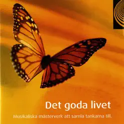 Det Goda Livet - Richard Hayman Det Goda Livet - Richard Hayman