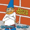 Gnome Sane?