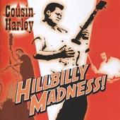 Cousin Harley - Who Will the Next Fool Be