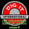 The Italo House Sound of the 90's, Vol. 8 (Best of Dig-it International)