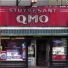 Stuyvesant - Bi-polar Bears