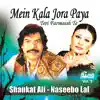 Mein Kala Jora Paya Teri Farmaish Te album lyrics, reviews, download