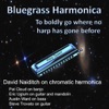 Bluegrass Harmonica