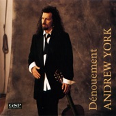 Andrew York - In Sorrow's Wake