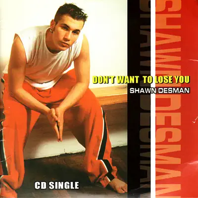Don't Want to Lose You - Shawn Desman