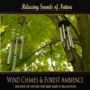 Wind Chimes & Forest Ambience - Sounds of Nature for Deep Sleep and Relaxation