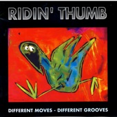 Different Moves - Different Grooves artwork