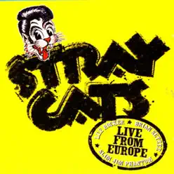 Live from Europe: Bonn July 29, 2004 - Stray Cats