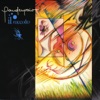 Pandemonio - Violino Tzigano