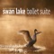 Swan Lake, Op. 20: Act I, Scène - Allegro giusto artwork