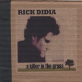 Rick DiDia - Outside Looking In