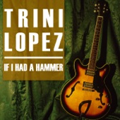 If I Had a Hammer (Re-Recorded Versions) artwork