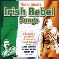 Various Artists - The Ultimate Irish Rebel Songs artwork