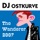 DJ Ostkurve-The Wanderer (Original Radio Edit)
