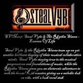 Essence of Life (Steal Vybe Mix) [Steal Vybe Mix] artwork